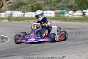 20110501_ales_agnus (3540)